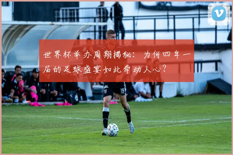 世界杯举办周期揭秘：为何四年一届的足球盛宴如此牵动人心？