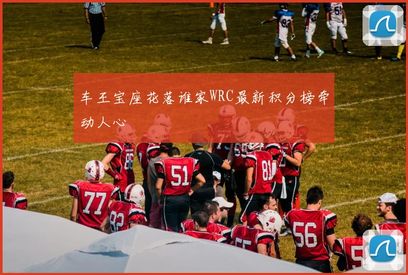 车王宝座花落谁家WRC最新积分榜牵动人心