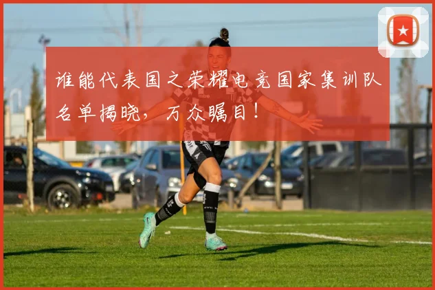 谁能代表国之荣耀电竞国家集训队名单揭晓，万众瞩目！