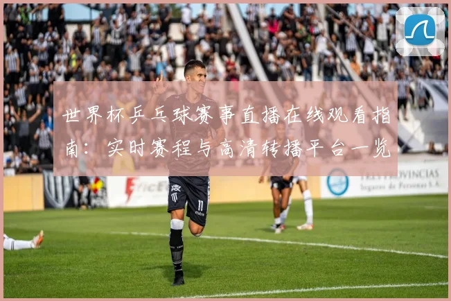 世界杯乒乓球赛事直播在线观看指南：实时赛程与高清转播平台一览