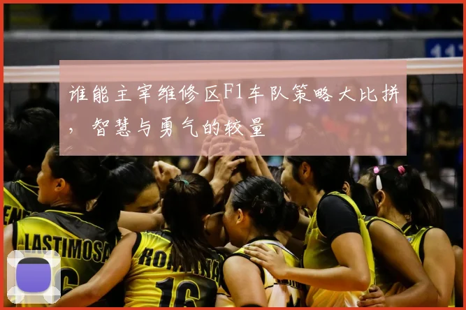 谁能主宰维修区F1车队策略大比拼，智慧与勇气的较量