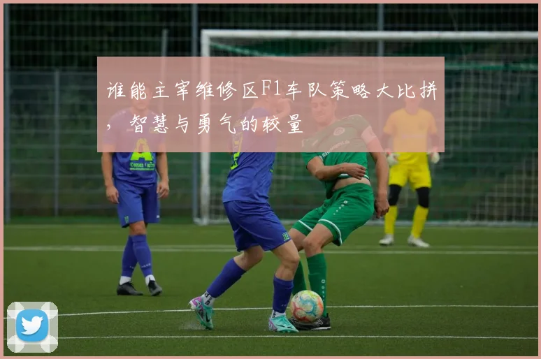 谁能主宰维修区F1车队策略大比拼，智慧与勇气的较量